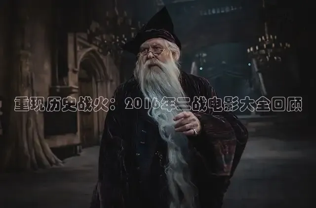 重现历史战火：2016年二战电影大全回顾